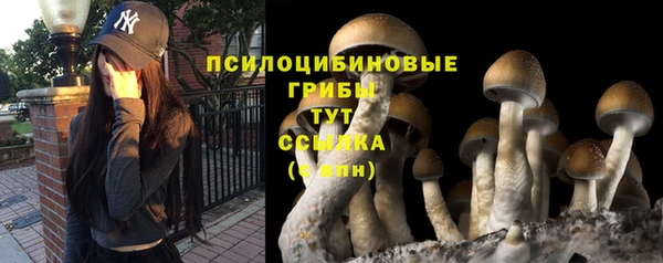 кокаин премиум Алзамай