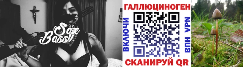 сколько стоит  Саки  Псилоцибиновые грибы мицелий 