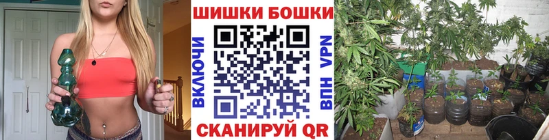 Шишки марихуана планчик Саки